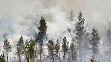 Природный пожар угрожает населенному пункту в Красноярском крае
