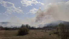 Установлена виновница пожара, уничтожившего 30 дач в Иркутской области