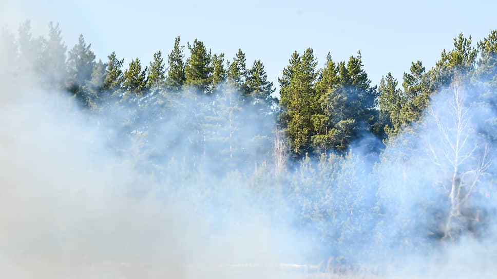 Площадь лесных пожаров выросла за сутки на 3 тыс. га в Красноярском крае