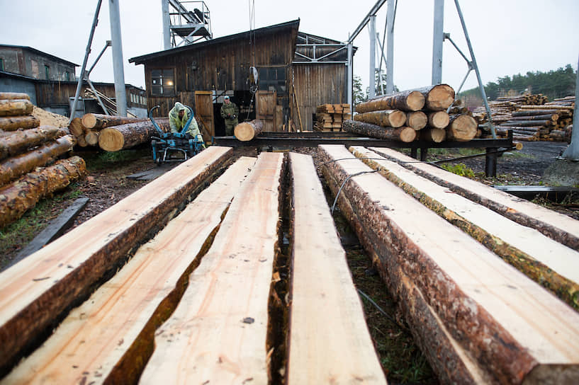 Линия распила круглого леса лесопромышленного предприятия ООО «Абсолют» в Ордынском районе Новосибирской области