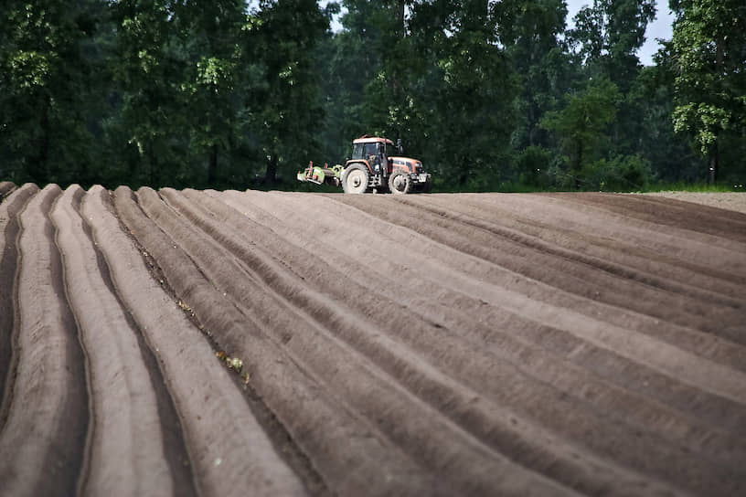 Работа сельскохозяйственного предприятия «Мичуринец» в Новосибирской области. Механизированное гребнеобразование посадок картофеля на полях