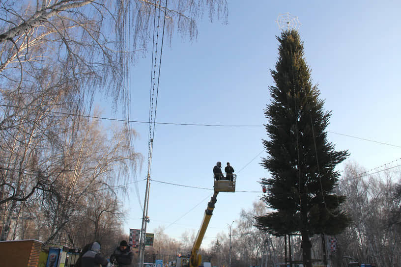 Установка 22-метровой елки Омска в парке 30-летия ВЛКСМ. Общая стоимость вместе с затратами на монтаж и демонтаж новогоднего дерева составила 100 тыс. руб.