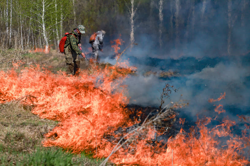 Тушение пожара в Искитимском районе Новосибирской области силами специалистов лесопожарного формирования искитимского лесничества