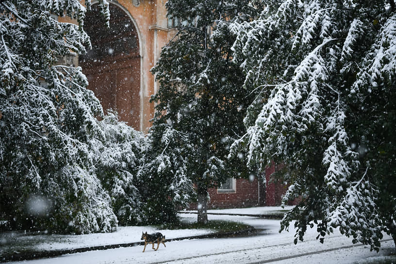 Снегопад в Кемерове 