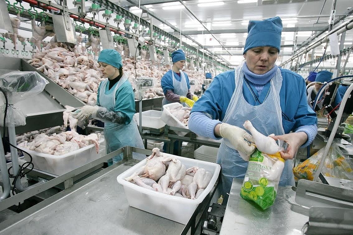 По итогам 2013 года позиции лидеров в отрасли мясной переработки в Алтайском крае заняли производители мяса птицы
