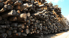 Бывший директор Колвинского лесничества осужден за незаконную вырубку леса
