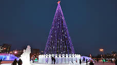 Городские власти купят новогоднюю елку за 9,4 млн рублей