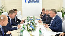Губернатор встретится с руководством «Газпром межрегионгаз»
