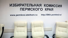 Крайизбирком предложил перенести апрельские и майские выборы