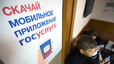 Самовыдвиженцы в Прикамье могут собирать на «Госуслугах» до 25% подписей