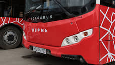 Большие автобусы для краевого автопарка поставит Volgabus