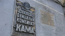 В совет директоров «Камы» вошел бывший гендиректор ГК «Илим»