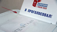 Общероссийское голосование в Прикамье прошло с минимальным количеством жалоб