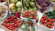 В Перми в районе Восточного обхода могут организовать питомник плодово-ягодных культур