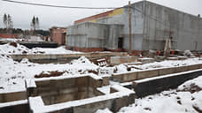 Дело о хищениях при строительстве Пермского зоопарка не дойдет до суда в этом году