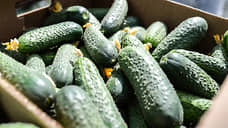 Россельхознадзор: с начала года в Прикамье ввезено 193 тонны овощей и фруктов