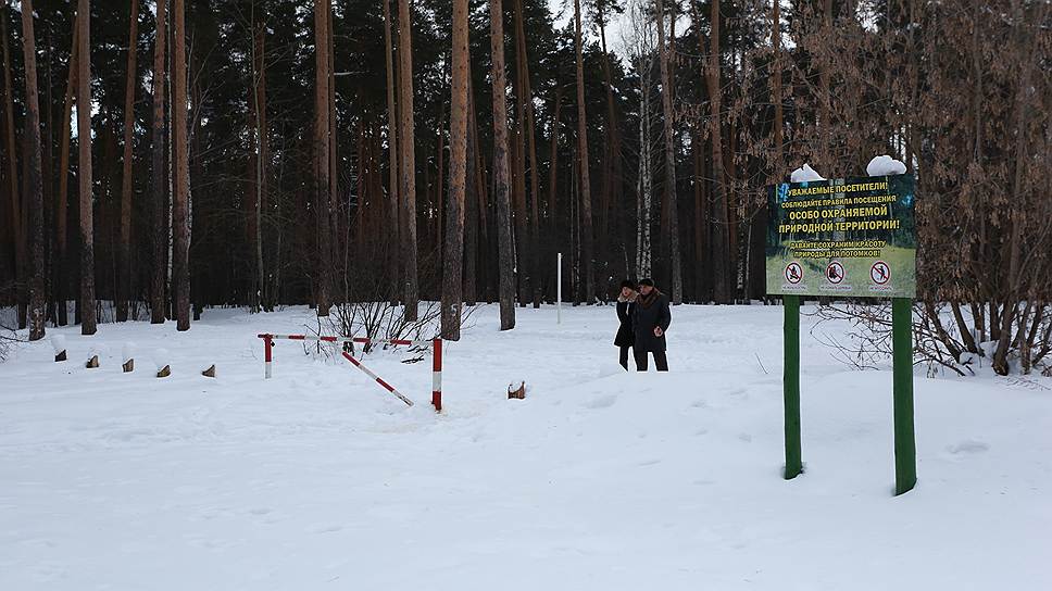 Намерение перенести зоопарк в Черняевский лес вызвало волну критики от общественников
