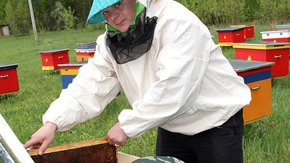 Прикамские пчеловоды рассказывают туристам о жизни пчел и учат разбираться в меде