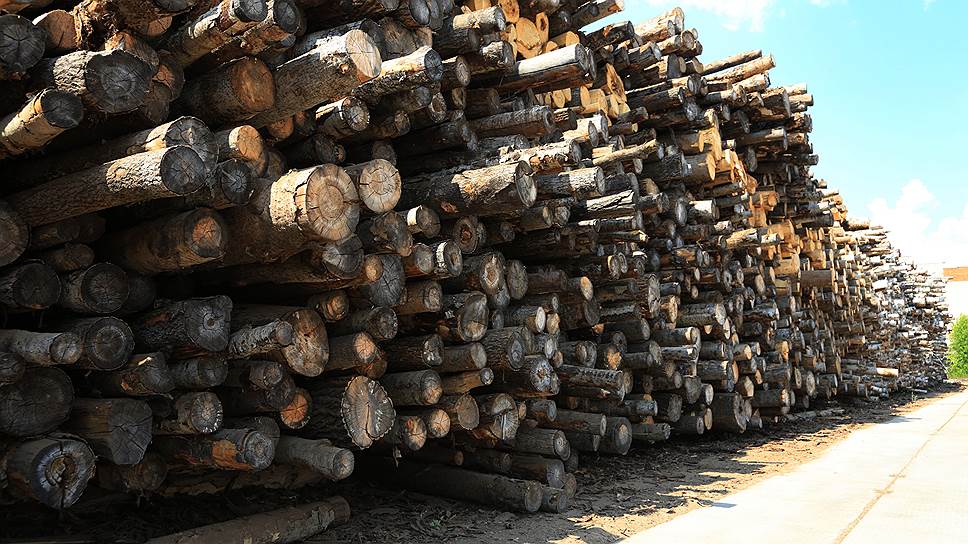 В Перми организуют вторую лесную биржу