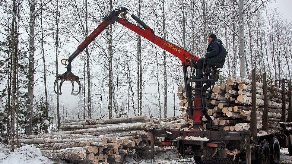 Данные космомониторинга используют все крупные участники лесозаготовок в Пермском крае