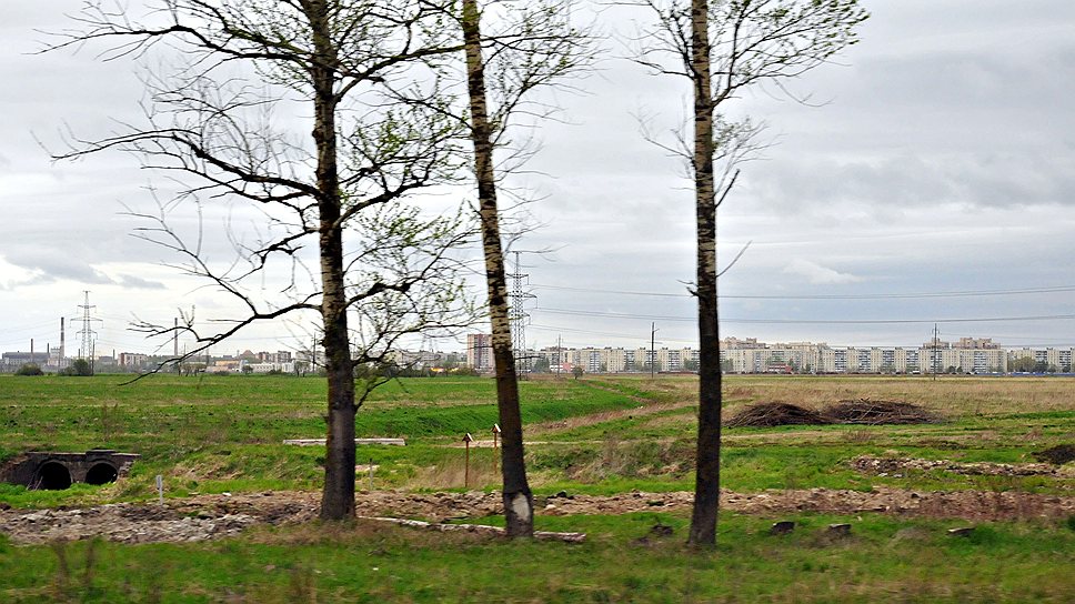 Шушарские поля с долиной Пулковки были одним из самых крупных объектов в списке «кандидатов в заповедники»