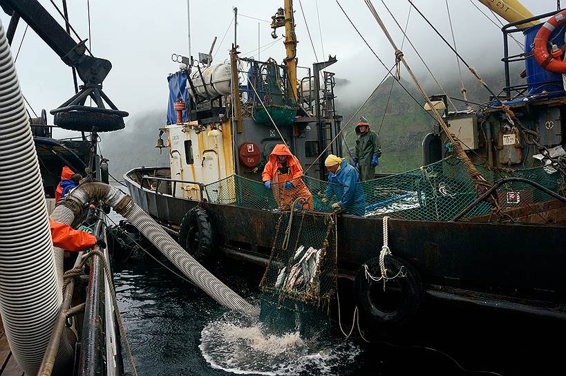 Программа обновления российского рыболовецкого флота стала причиной, по которой исландская компания Nautic вошла в состав собственников петербургского ООО «Шиптех Инжиниринг»