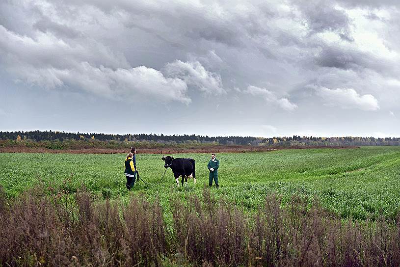 Всего под реализацию проекта «Ленинградский гектар» выделено 14,7 тыс. га земли в Бокситогорском, Лодейнопольском, Подпорожском и Сланцевском районах