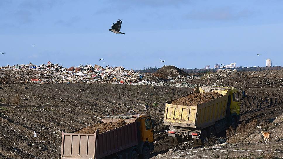 Как власти Ленобласти решили менять тариф на вывоз мусора спустя три недели после его принятия