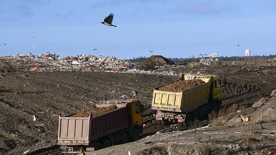 Почему областные чиновники решили отложить мусорную реформу