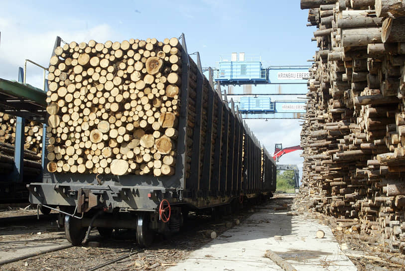 Основной вклад в увеличение экспорта в данном проекте вложат, согласно опросу исследователей, лесопромышленные предприятия РФ (через Светогорск расстояние перевозки сократится на 200 км)