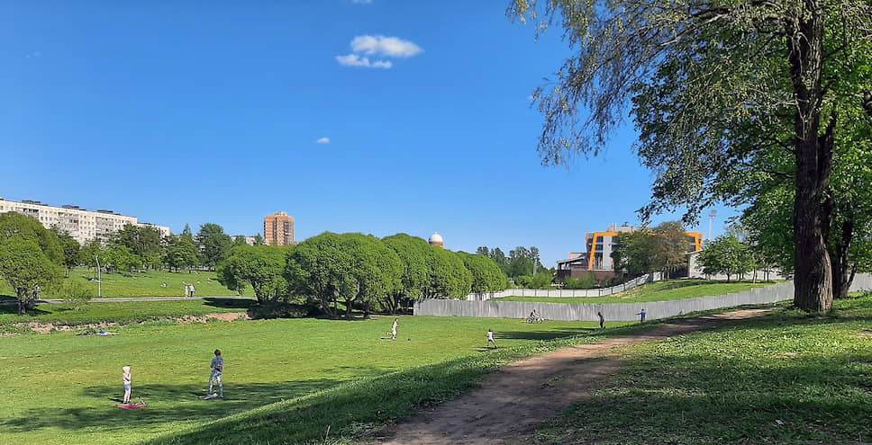 Градозащитники называют Муринский парк «горячей точкой» Петербурга