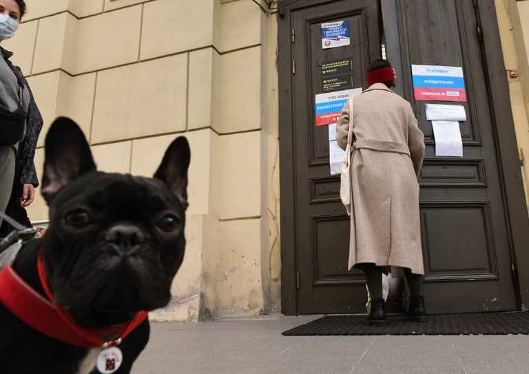 Судя по реакции ЦИК, в Петербурге придется заняться поиском нарушителей выборного процесса