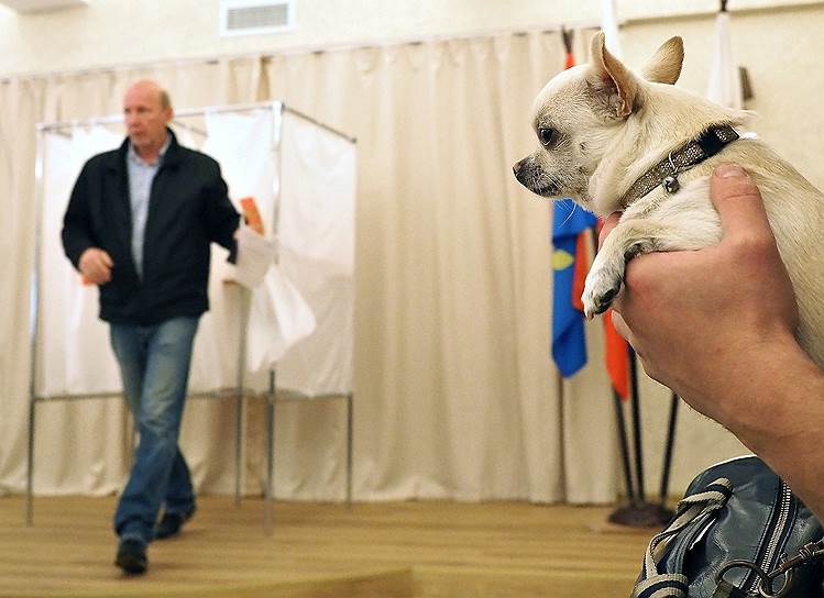 Избиратель во время муниципальных выборов в городском поселении Кузьмолово Ленинградской области