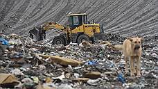 Названы наиболее проблемные мусорные полигоны Петербурга и Ленобласти