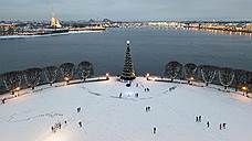 Петербург потратит на новогодние ели 35 млн рублей