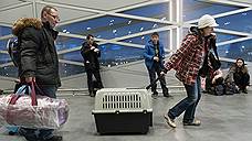 Из-за снегопада прибытие самолетов в петербургский аэропорт задерживается