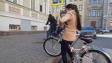 Шесть петербургских парков соединят велодорожками