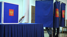 Общественная палата Петербурга: Только 5%  жалоб касаются губернаторских выборов