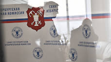 Горизбирком просит 490 млн рублей из бюджета на реформу избирательной системы
