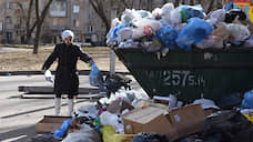 В Смольном заявили, что не собираются строить мусоросжигательные заводы в Петергофе и Ломоносове