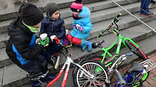 Протяженность петербургских велодорожек увеличится до 138 км