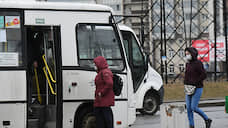 Комитет по транспорту Петербурга возбудил почти 200 дел в отношении перевозчиков