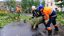 В Петербурге из-за шторма упали 458 деревьев