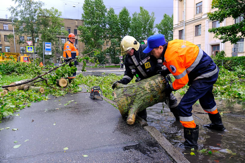 Сотрудники аварийной службы и пожарной службы МЧС России во время расчистки проезжей части от упавших деревьев