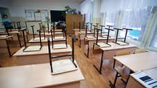 На карантин из-за коронавируса и ОРВИ в Петербурге закрыты 24 школьных класса