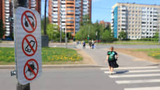 На пешеходных переходах Петербурга появились новые дорожные знаки
