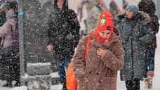 В Петербурге перед выходными ожидаются сильный снег и ветер