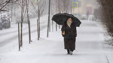В результате снегопада высота снежного покрова в Петербурге достигла 11 см