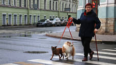 Почти 80 новых нерегулируемых пешеходных переходов оборудуют в Петербурге к осени