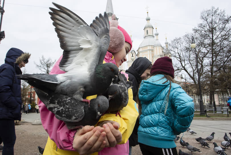 Девочка кормит голубей в центре города